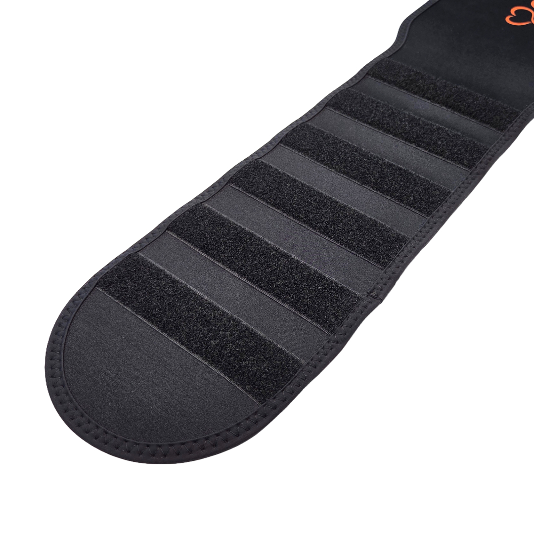 천산발열벨트(NEW)